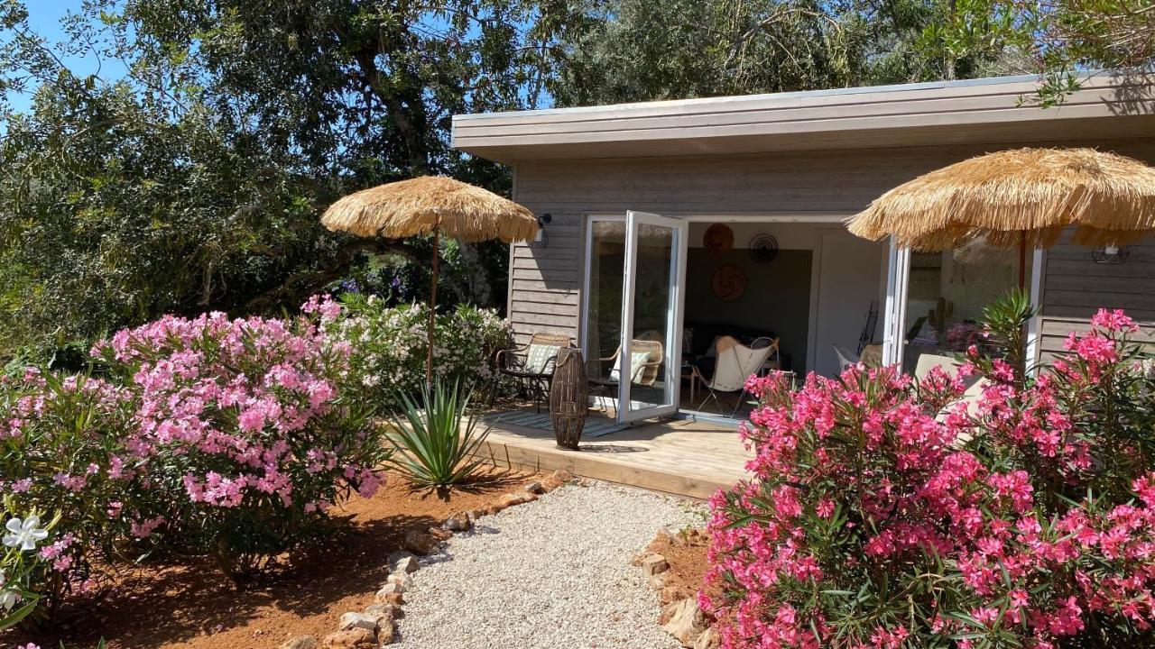 Casa Sereno Benagil Extérieur photo