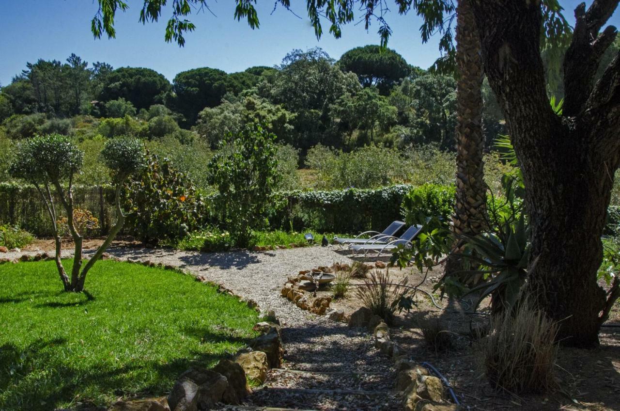 Casa Sereno Benagil Extérieur photo
